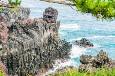 Jungmun Daepo sahil Jusangjeolli Cliff, Jeju Adası
