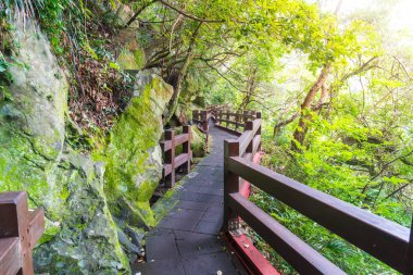 Cheonjeyeon Falls, Jeju Adası bahçesinde ağaç yürüme yolu
