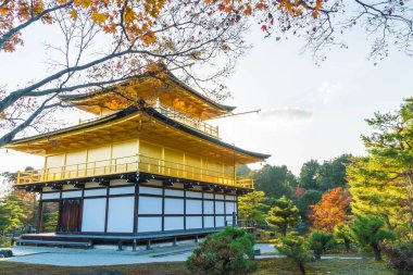 Kinkakuji Tapınağı (altın köşk güzel mimari)