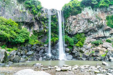 Jeongbang şelale jeju Adası