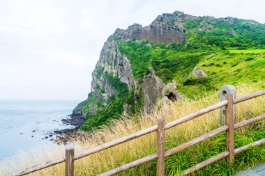 Jeju Adası'Seongsan Ilchulbong (volkanik koni) görünümünü.