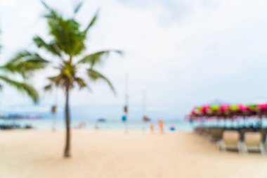 güzel hurma şemsiye ve deniz sandalyeye ile bulanıklık ve 