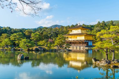 Kinkakuji Tapınağı (altın köşk güzel mimari)
