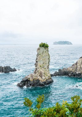Jeju-do Oedolgae kaya (ünlü doğal landmark) Jeju Adası,
