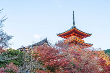 Kiyomizu-dera Tapınağı güzel mimari Kyoto,.
