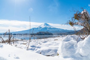 Dağ Fuji San Kawaguchiko Gölü.