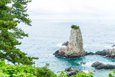 Jeju-do Oedolgae kaya (ünlü doğal landmark) Jeju Adası,
