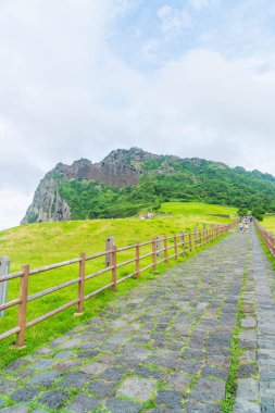 Jeju, Kore - 9 Temmuz 2017: turist Seongaksan Mounta ziyaret