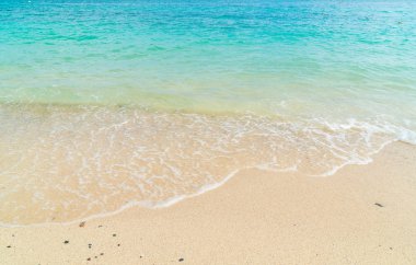 güzel tropikal plaj ve deniz manzara