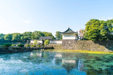 Tokyo'da bina güzel İmparatorluk Sarayı
