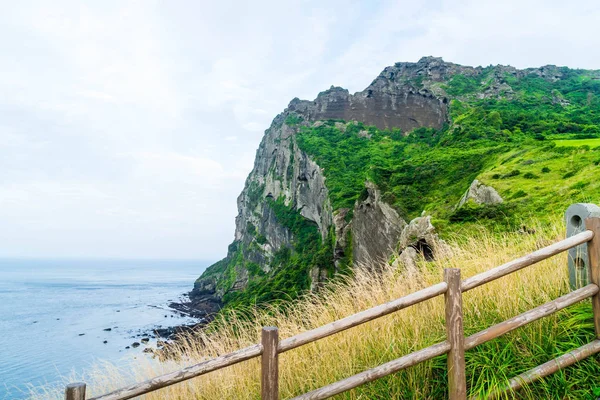 Jeju Adası'Seongsan Ilchulbong (volkanik koni) görünümünü.