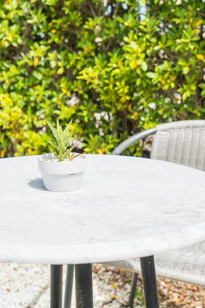 cactus decoration on table