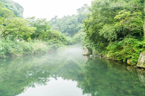 Bahçe Park adlı Cheonjiyeon şelaleler Jeju Adası — Stok fotoğraf