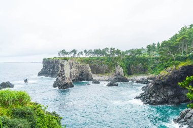 Jeju-do Oedolgae kaya (ünlü doğal landmark) Jeju Adası,