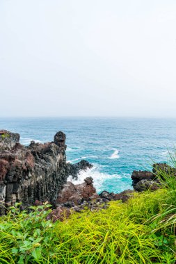 Jungmun Daepo sahil Jusangjeolli Cliff, Jeju Adası