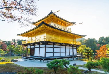 Kinkakuji Tapınağı (altın köşk güzel mimari)