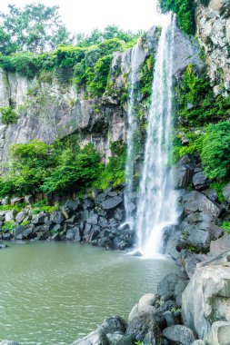 Jeongbang şelale jeju Adası