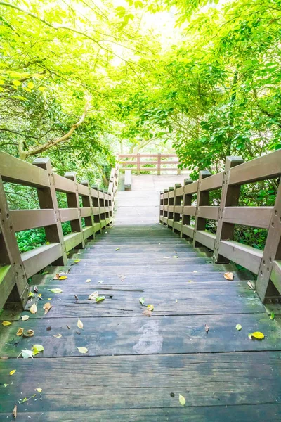 Passerelle en bois dans le jardin à Cheonjeyeon Falls, Jeju Island — Photo