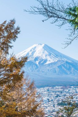 Kawaguchiko, dağ Fuji San