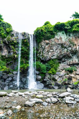 Jeongbang şelale jeju Adası