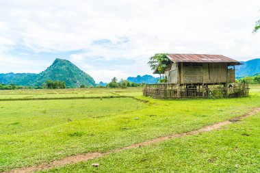  Vang Vieng alanlarda eski ev