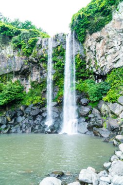 Jeongbang şelale jeju Adası
