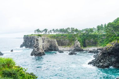 Jeju-do Oedolgae kaya (ünlü doğal landmark) Jeju Adası,