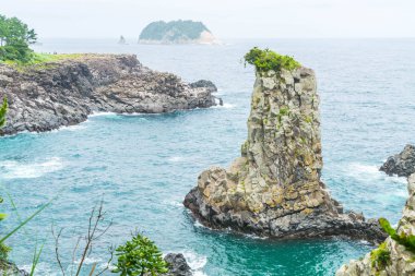 Jeju-do Oedolgae kaya (ünlü doğal landmark) Jeju Adası,