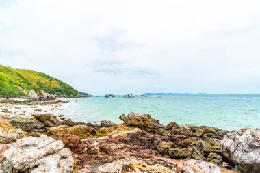 güzel tropikal beach Koh Larne Pattaya adlı