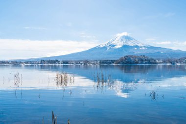 Dağ Fuji San Kawaguchiko Gölü.