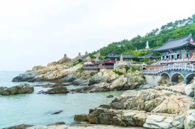 Güzel mimari Haedong Yonggungsa Tapınağı'nda oturur üzerine bir 
