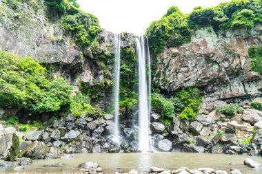 Jeongbang şelale jeju Adası