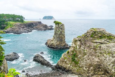 Jeju-do Oedolgae kaya (ünlü doğal landmark) Jeju Adası,