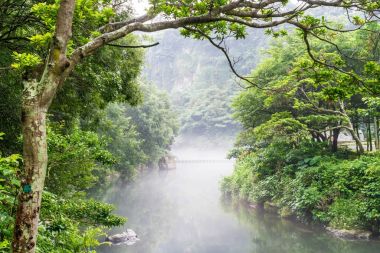 Bahçe Park adlı Cheonjiyeon şelaleler Jeju Adası