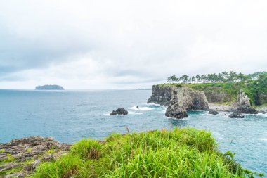 Jeju-do Oedolgae kaya (ünlü doğal landmark) Jeju Adası,