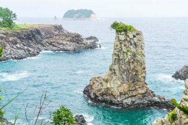 Jeju-do Oedolgae kaya (ünlü doğal landmark) Jeju Adası,