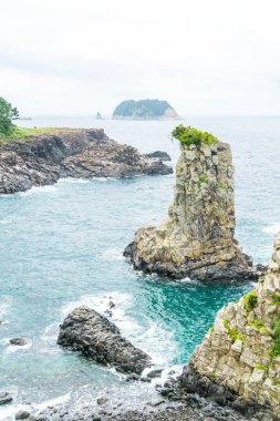 Jeju-do Oedolgae kaya (ünlü doğal landmark) Jeju Adası,