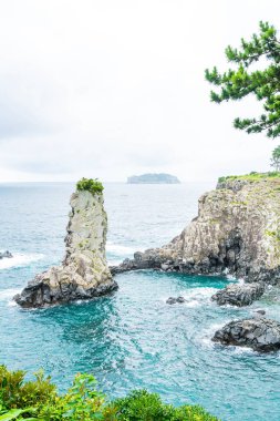 Jeju-do Oedolgae kaya (ünlü doğal landmark) Jeju Adası,