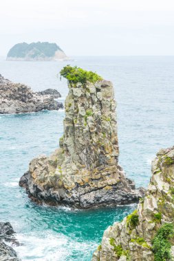 Jeju-do Oedolgae kaya (ünlü doğal landmark) Jeju Adası,