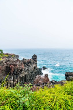 Jungmun Daepo sahil Jusangjeolli Cliff, Jeju Adası