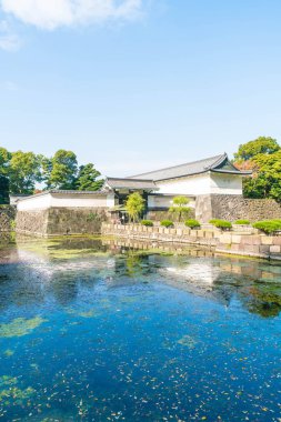 Tokyo'da bina güzel İmparatorluk Sarayı