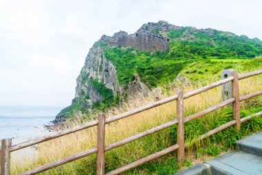 Jeju Adası'Seongsan Ilchulbong (volkanik koni) görünümünü.