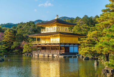 Kinkakuji Tapınağı (altın köşk güzel mimari)
