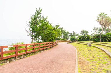 Park adlı Jungmun Daepo sahil Jusangjeolli Cliff, Jeju Adası