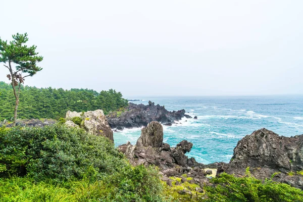 Jungmun Daepo Costa Jusangjeolli Cliff, Jeju Island — Fotografia de Stock