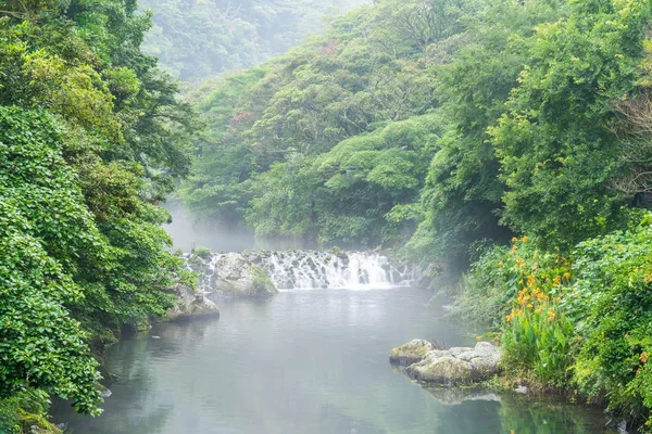 Garden Park w Cheonjiyeon wodospady w Jeju Island — Zdjęcie stockowe
