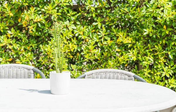 Dekorasi kaktus di atas tabel — Stok Foto