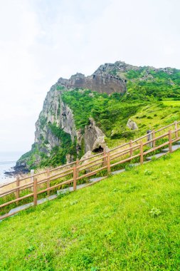 Jeju Adası'Seongsan Ilchulbong (volkanik koni) görünümünü.