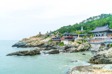 Güzel mimari Haedong Yonggungsa Tapınağı'nda oturur üzerine bir 