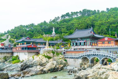 Busan, Güney Kore-Temmuz 11,2017: Turistik ziyaret Haedong Yonggung 